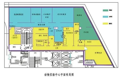 動物實驗室規范標準與建設全流程要點解析